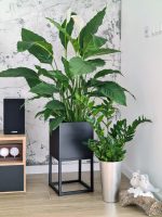 Suport pentru flori cu ghiveci adânc 30x30x60 - imagine 2