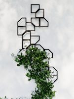 Planta de sprijin cuști Trellis Rima S 35x44 cm - imagine 3