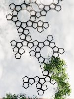 Planta de sprijin cuști Trellis Pentagon L 59x77 cm - imagine 4