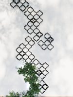 Planta de sprijin cuști Trellis Maroko M 54x79 cm - imagine 3