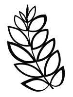 Planta de sprijin cuști Trellis Floral L 55x98 cm