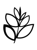 Planta de sprijin cuști Trellis Floral M 55x67 cm